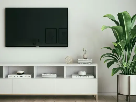 Sideboard mit Smart-TV und Grünpflanze